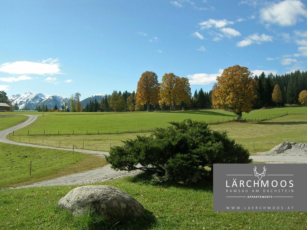 Appartements Lärchmoos Ramsau am Dachstein Extérieur photo