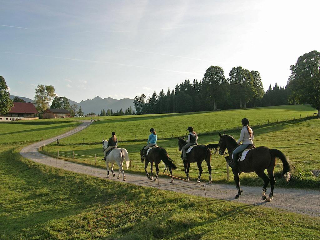 Appartements Lärchmoos Ramsau am Dachstein Extérieur photo