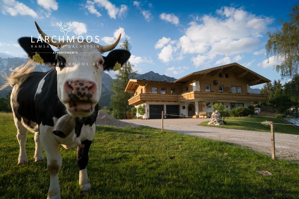 Appartements Lärchmoos Ramsau am Dachstein Extérieur photo